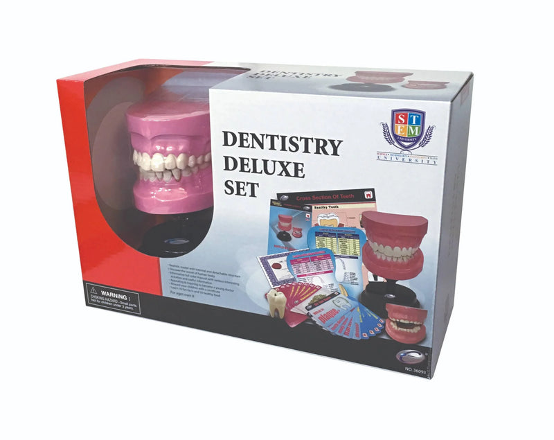 STEM Dental Teeth Model Deluxe Set (7779472277659)