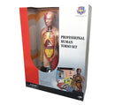 STEM - Human Torso Model Deluxe Set (7714608414875)