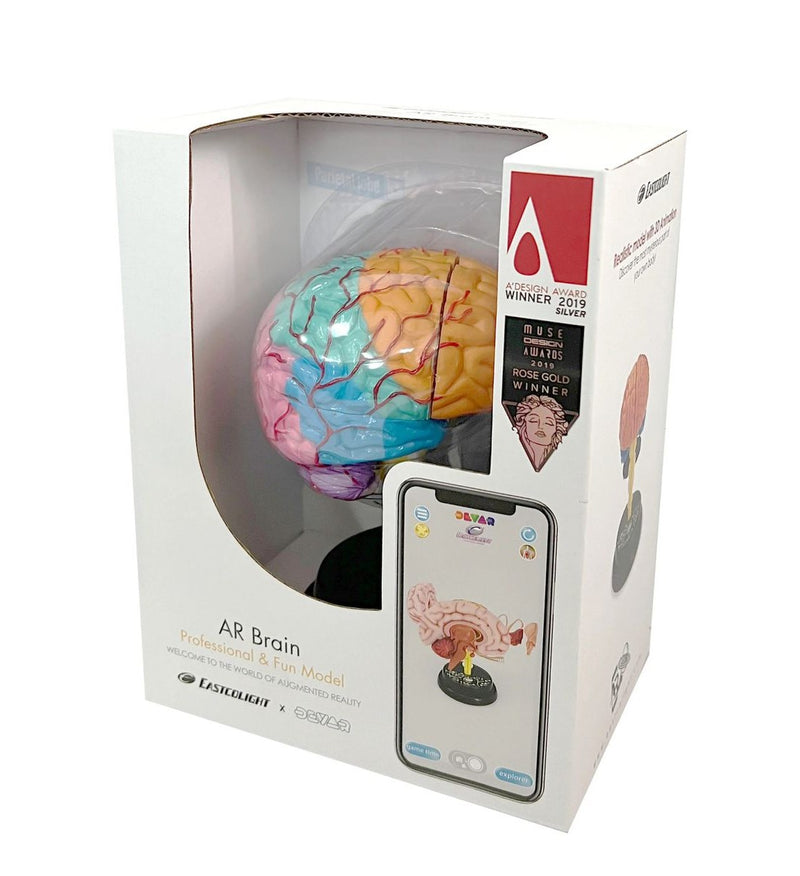 STEM Augmented Reality - Brain Professional Model (7715732586651)