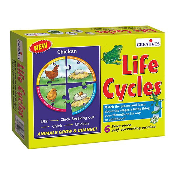Creatives - Life Cycles (7784679375003)