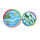 Creatives - Life Cycles (7784679375003)