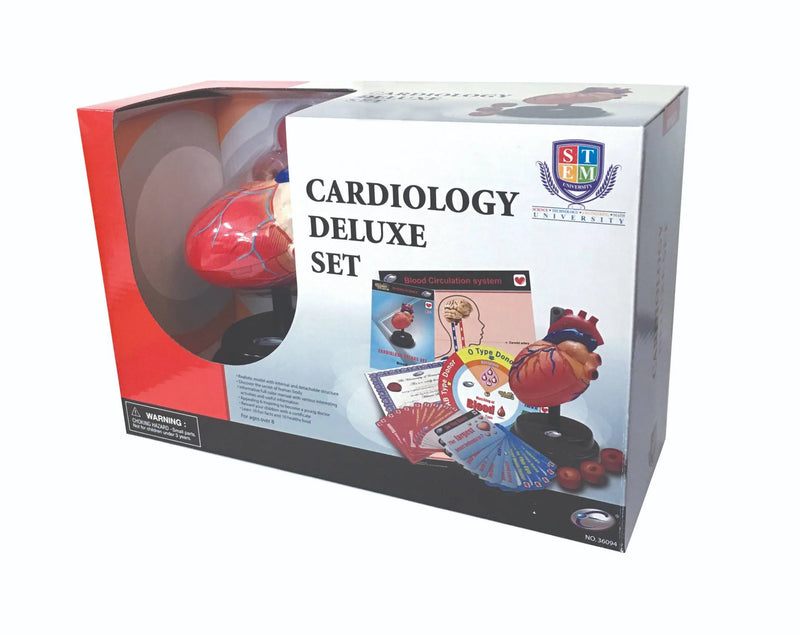 STEM Heart Cardiology Model Deluxe Set (7779471622299)