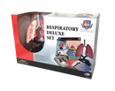 STEM Respiratory Human Lung Model Deluxe Set (7779471098011)