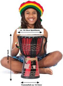 Traditional Djembe African Drum