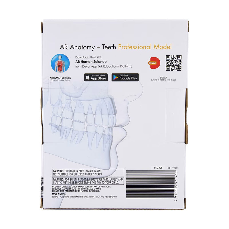 STEM Augmented Reality - Dental Teeth Professional Model (7779475062939)