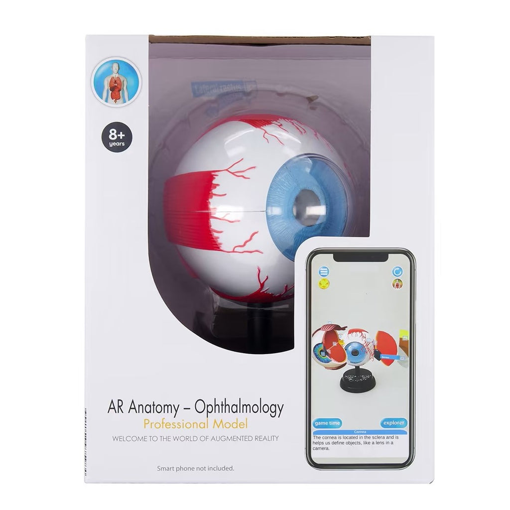Optometry Model STEM Augmented Reality - Eye Ophthalmology Professional Model