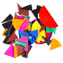 Fraction Circle Set 51-pcs