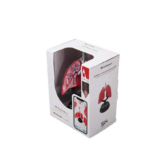 STEM Augmented Reality - Respiratory Lung Professional Model (7779474669723)