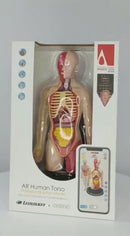 STEM Augmented Reality - Human Torso Profesional Model