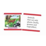 Creatives Science Knowledge Boosters Animals (6907038335131)