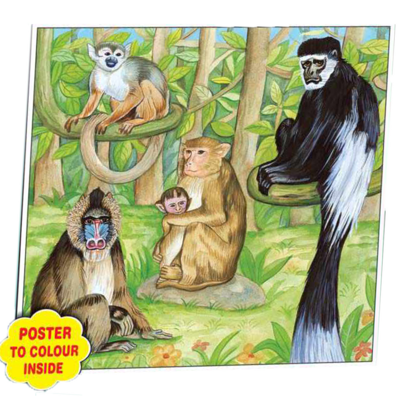Creatives - 4 Animal Puzzles (Part 4) (10,15,20, 25 Pcs)
