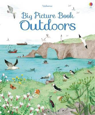 Big Picture Book of Outdoors (7175521271963)
