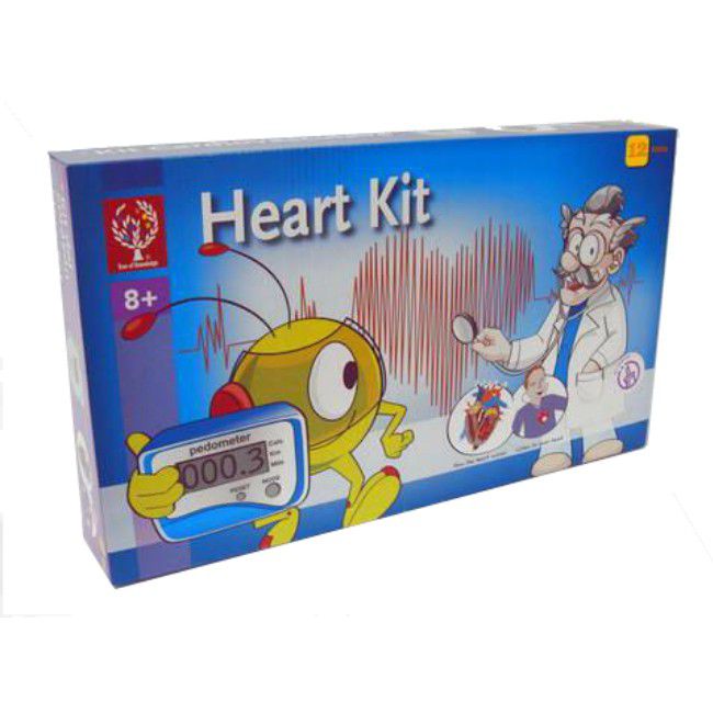Edu Toys Heart Experiment Kit (7537310990491)