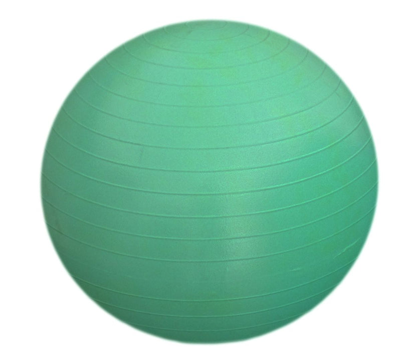 Exercise Yoga Gym Ball Anti Burst - Mint Green (7273158181019)
