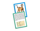 Creatives Animals Jumbo Flash Cards - 36 Cards (7418584334491)