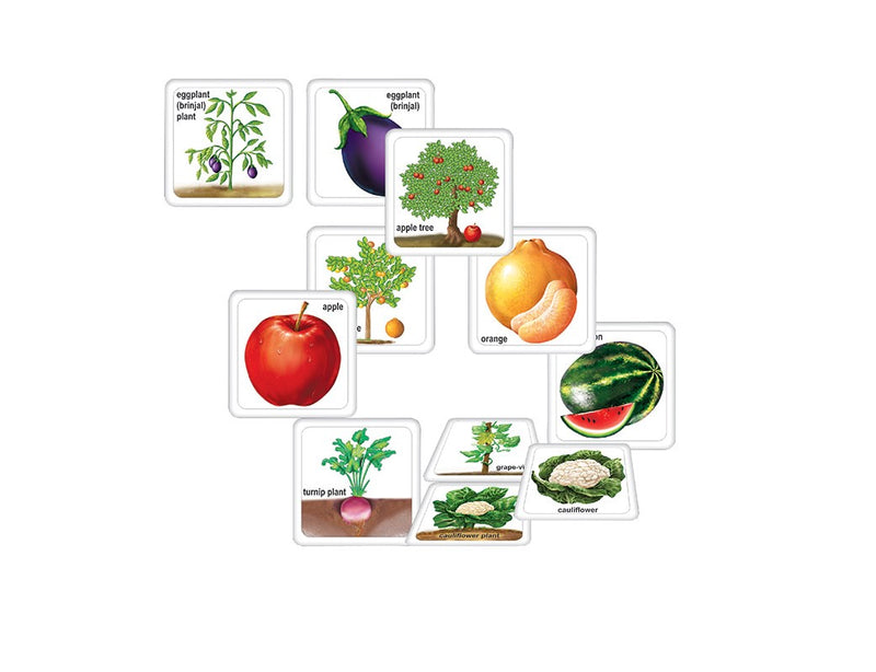 Creatives Flash Cards Fruits, Vegetables & Their Plants (Match The Fruit Or Vegetable To Their Plants) (6907039973531)