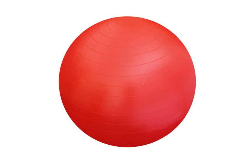 Exercise Yoga Gym Ball Anti Burst - Light Red (7273158541467)