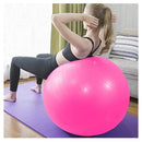 Exercise Yoga Gym Ball Anti Burst 65cm - Pink (7373309870235)